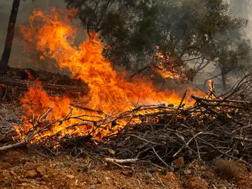 El incendio forestal del interior de Castellón El incendio forestal del interior de Castellón