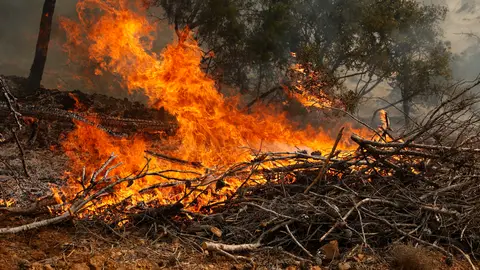El incendio forestal del interior de Castellón