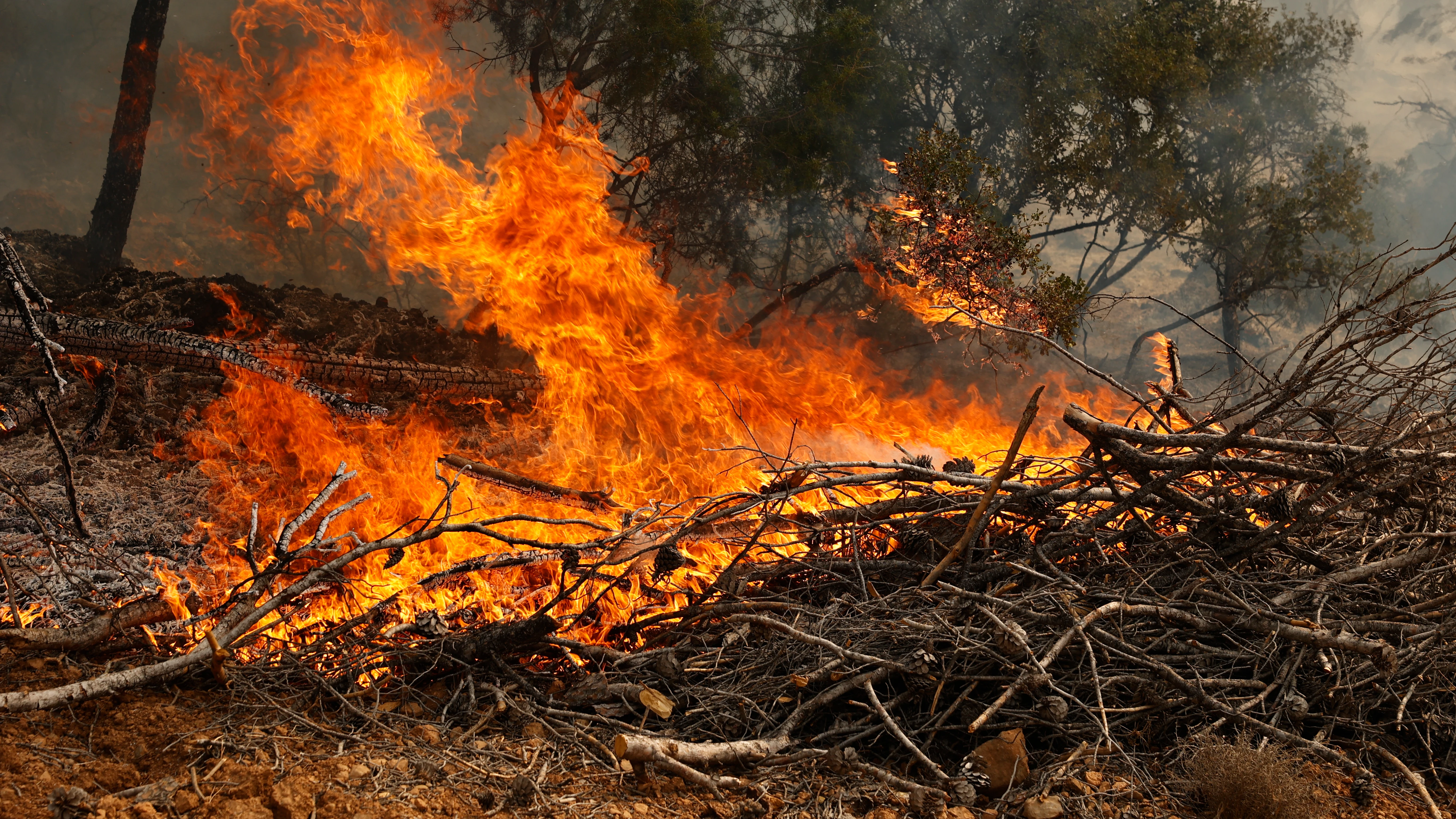 El incendio forestal del interior de Castell&oacute;n