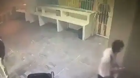 Celda migrantes Celda migrantes