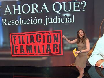 Estos son los pasos que deberá seguir Ana Obregón para que su bebé pueda entrar legalmente en España