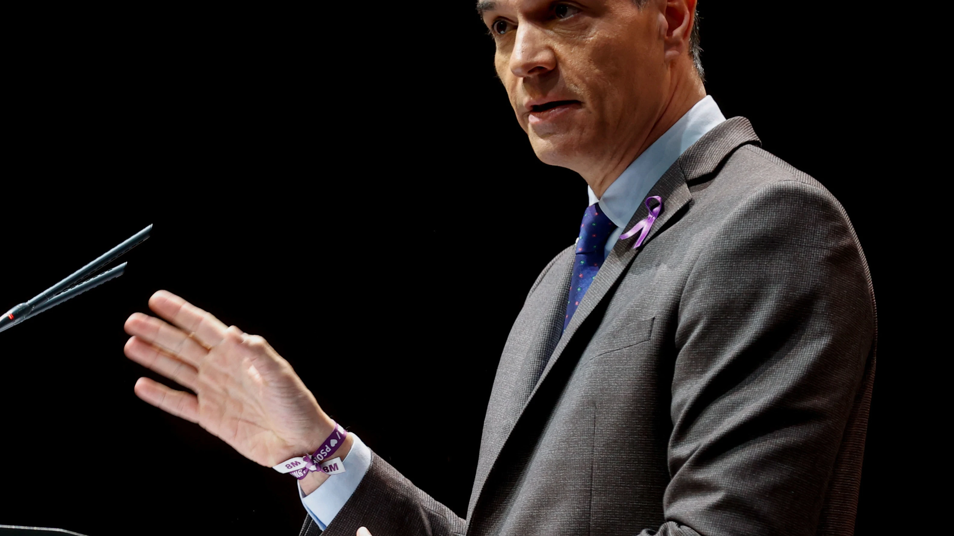 Pedro S&aacute;nchez