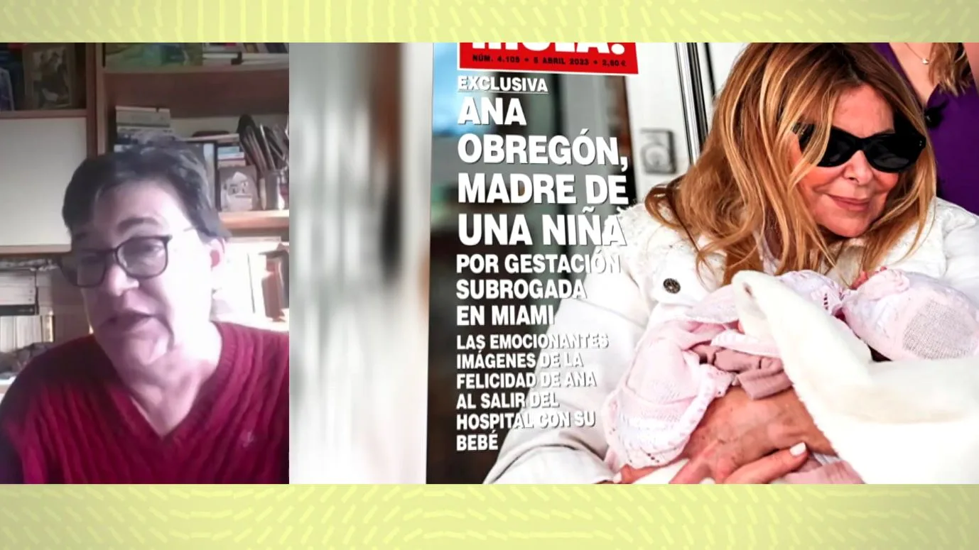 En contra de la gestaci&oacute;n subrogada.