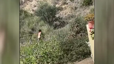 El joven huyendo El joven huyendo