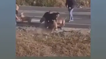 PACMA denuncia "brutalidad" en la actuación de unos policías disparando a 3 perros y JUPOL contesta PACMA denuncia "brutalidad" en la actuación de unos policías disparando a 3 perros y JUPOL contesta
