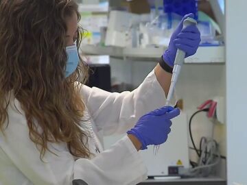 Investigación contra el cáncer