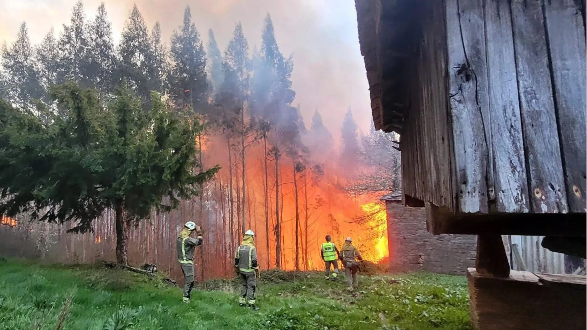 Bomberos luchando contra las llamas en un incendio forestal en Galicia