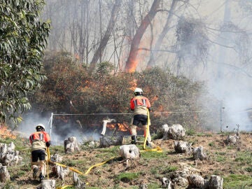 Incendio en el Monte Naranco, Asturias