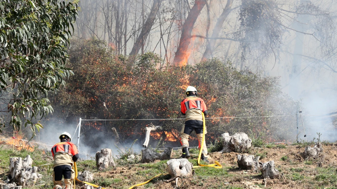 Incendio en el Monte Naranco, Asturias