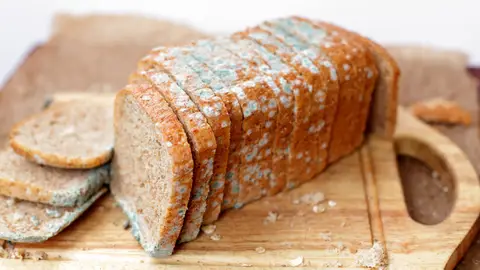Pan con moho Pan con moho