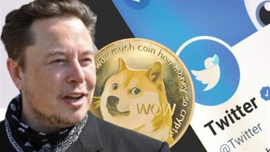 Elon Musk devuelve a Twitter su logo original, el pájaro azul, tras varios días con el perro de 'Dogecoin'