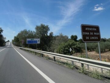 Carretera de Doñana