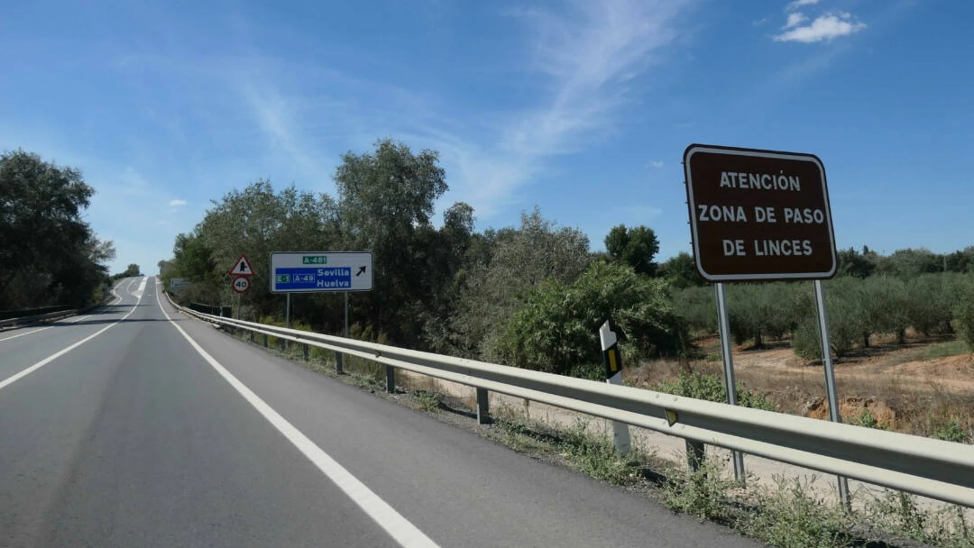 Carretera de Doñana