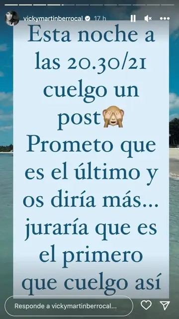 Vicky Martín Berrocal anuncia que va a publicar un post Vicky Martín Berrocal anuncia que va a publicar un post