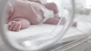 Un recién nacido en una incubadora 