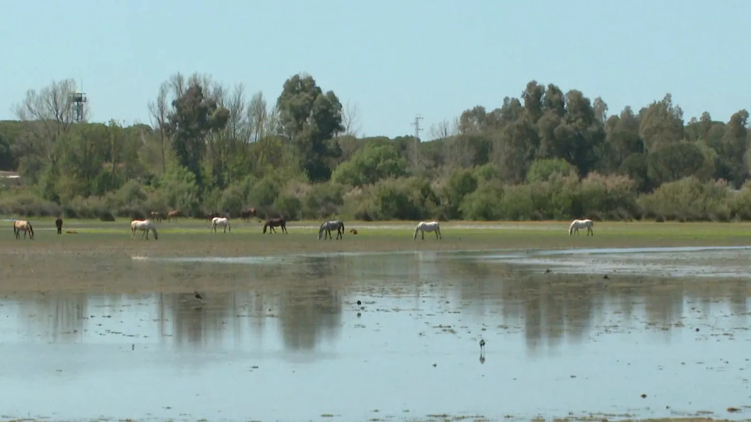 Más de la mitad de sus lagunas han desaparecido Más de la mitad de sus lagunas han desaparecido