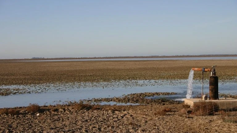 Acuífero en Doñana Acuífero en Doñana