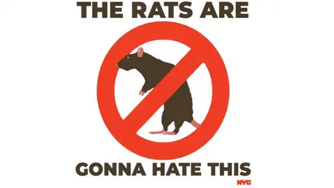 Lucha contra las ratas en Nueva York