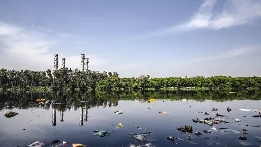 Desde zonas rurales hasta la Ant&aacute;rtida nadie se salva de la contaminaci&oacute;n