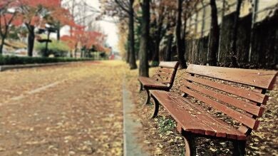 Agrede a una pareja después de que rechazaran hacer un trío con él en un parque en Logroño