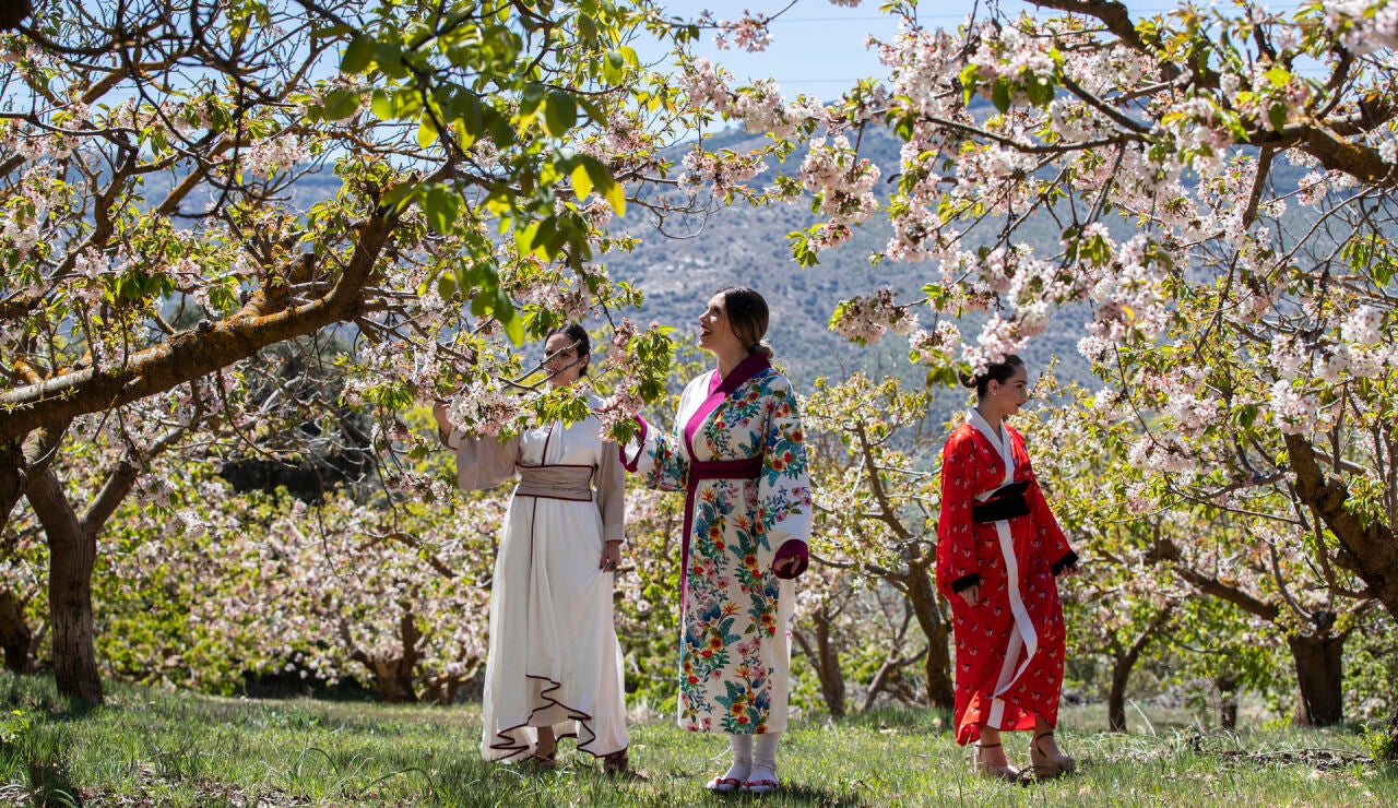 Alfarnate, pueblo de M&aacute;laga, durante el Sakura