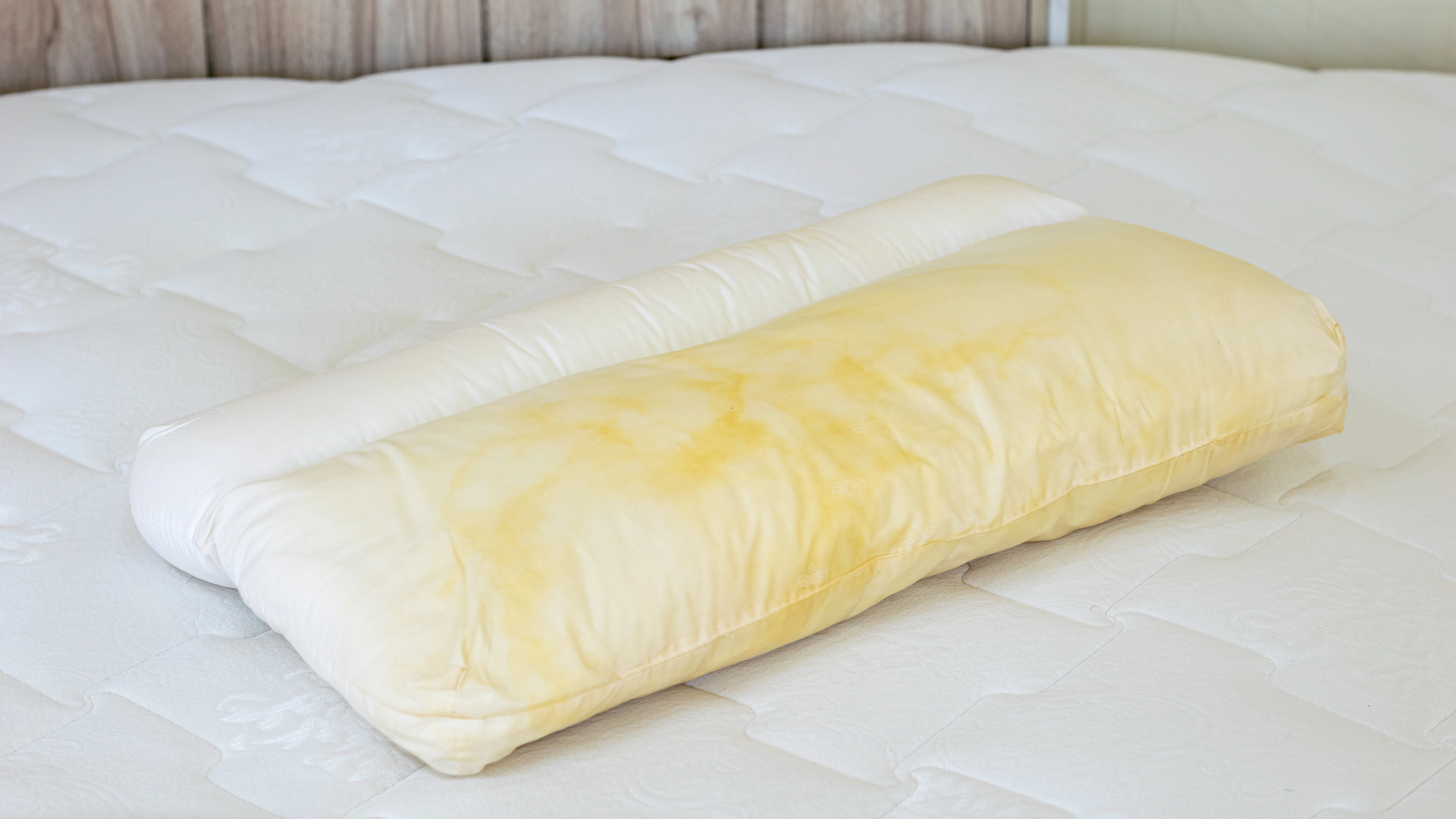 Almohada amarillenta Almohada amarillenta