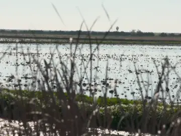 España atraviesa la peor sequía en 45 años y así es como afecta a nuestros bolsillos España atraviesa la peor sequía en 45 años y así es como afecta a nuestros bolsillos