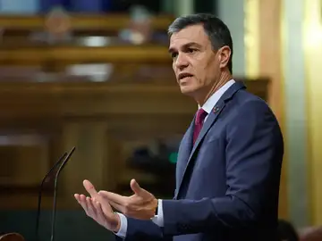 El presidente del Gobierno, Pedro Sánchez, durante su intervención en el pleno del Congreso El presidente del Gobierno, Pedro Sánchez, durante su intervención en el pleno del Congreso