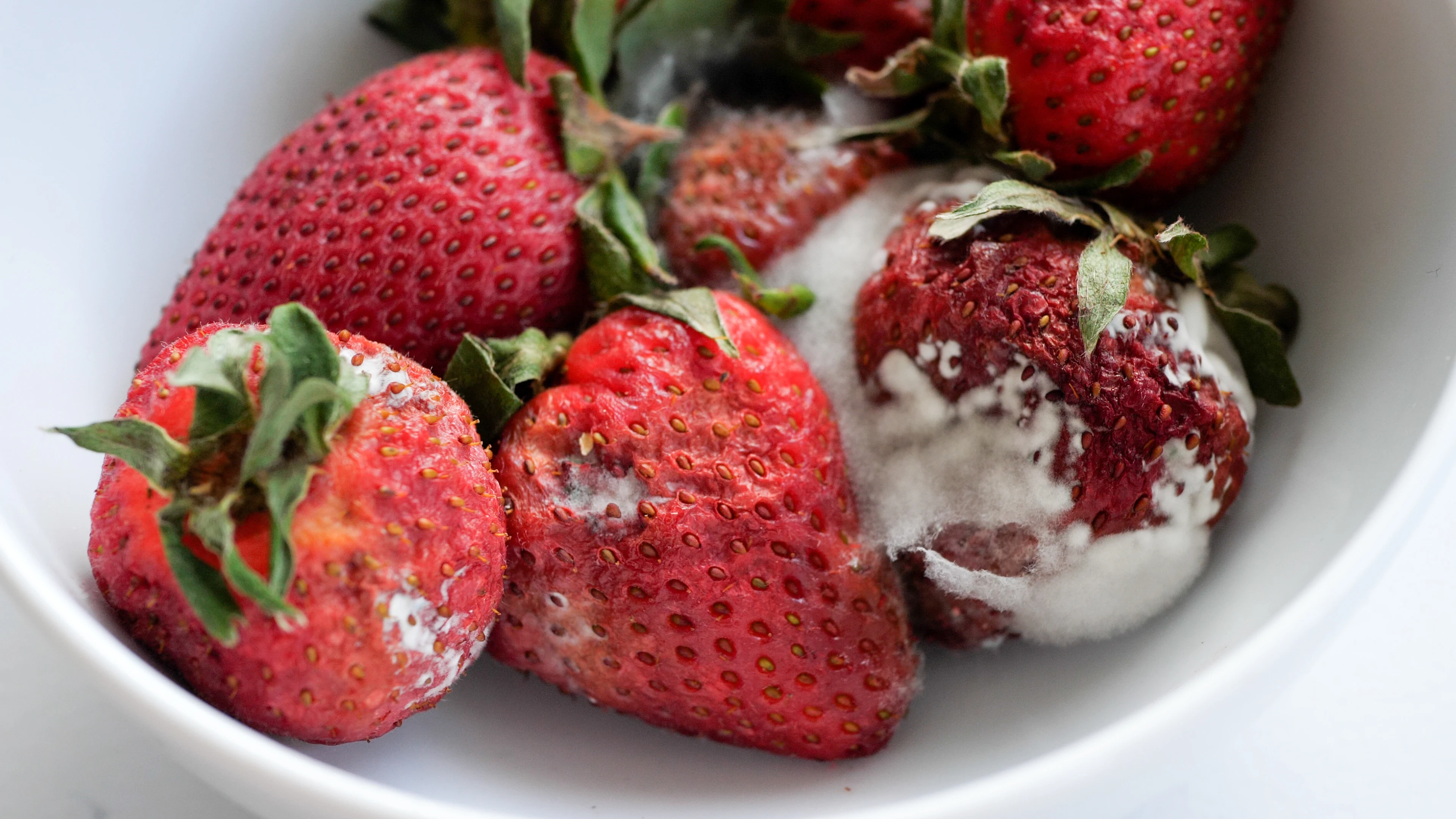 Fresas con moho