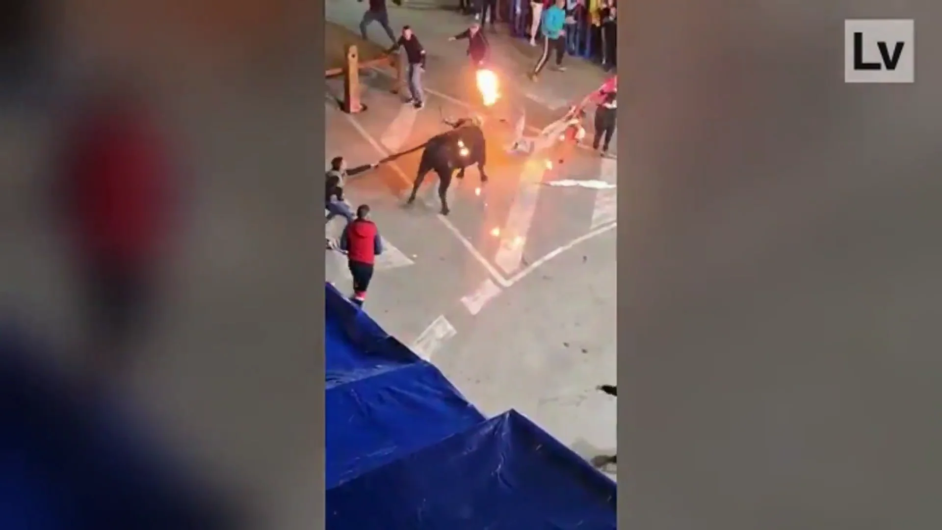 Imágenes de la cogida del toro embolado en Alicante Imágenes de la cogida del toro embolado en Alicante