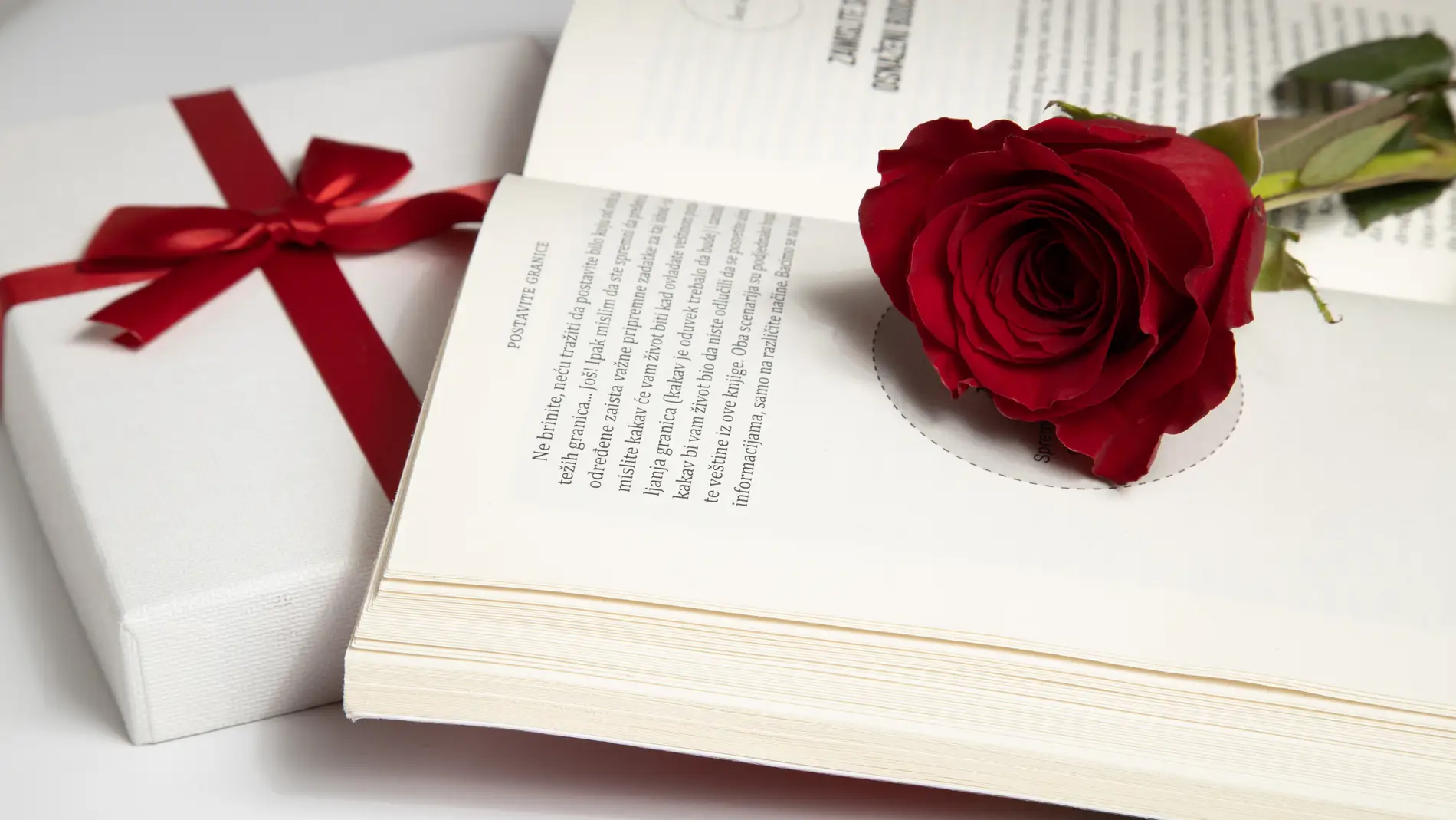 Sant Jordi y el día del libro. Planes con tu pareja fuera de casa - Clintu  Blog