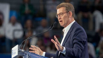 El l&iacute;der del PP, Alberto N&uacute;&ntilde;ez Feij&oacute;o