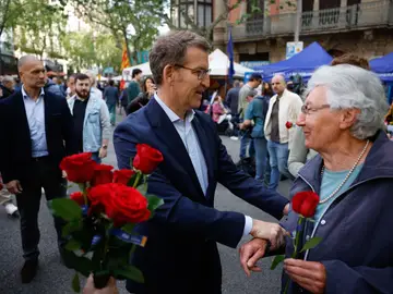 El líder del Partido Popular, Alberto Núñez Feijóo reparte rosas en la Rambla de Barcelona este domingo con motivo de Sant Jordi. El líder del Partido Popular, Alberto Núñez Feijóo reparte rosas en la Rambla de Barcelona este domingo con motivo de Sant Jordi.