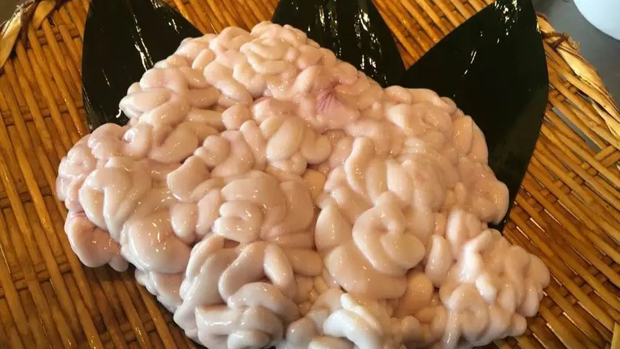 Shirako, el semen de pez globo