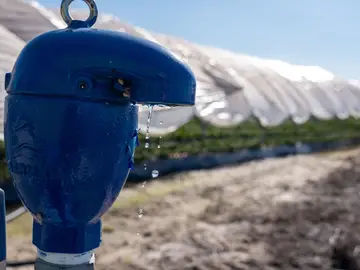Boca de riego en una finca del cultivo de fresas ubicada en la zona de regadío al norte de la Corona Forestal de Doñana Boca de riego en una finca del cultivo de fresas ubicada en la zona de regadío al norte de la Corona Forestal de Doñana