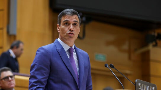 Pedro S&aacute;nchez en el Senado