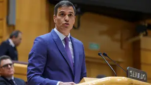 Pedro Sánchez en el Senado