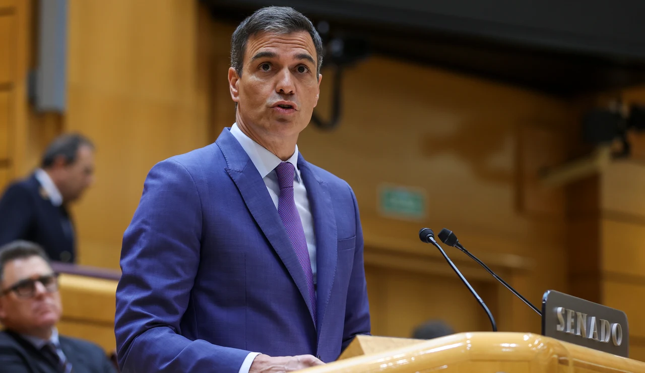 Pedro Sánchez en el Senado