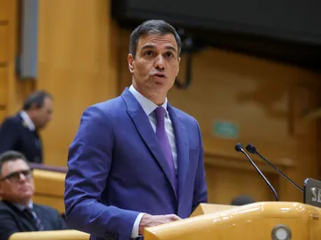 Pedro Sánchez en el Senado Pedro Sánchez en el Senado