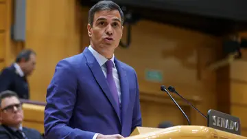 Pedro Sánchez en el Senado Pedro Sánchez en el Senado