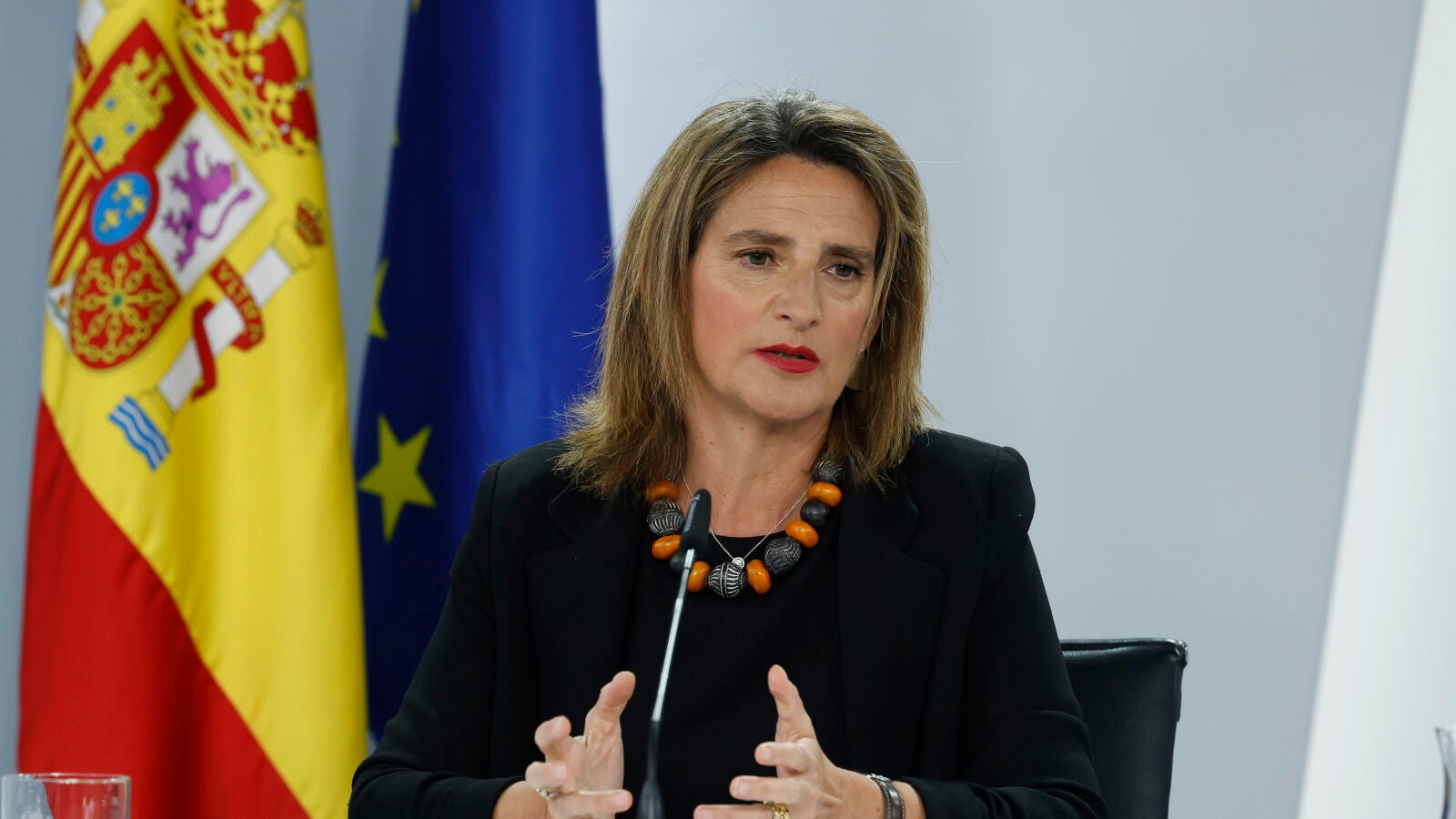 Se mantiene el pulso entre el Gobierno y la Junta de Andalucía por los regadíos en el entorno de Doñana