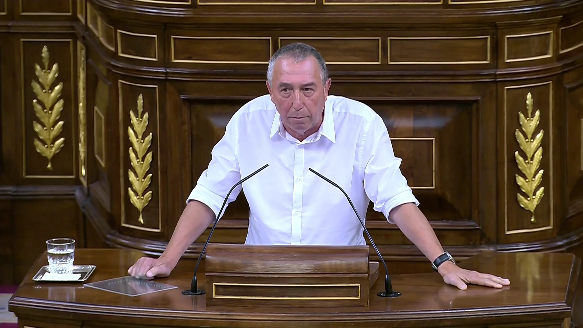 Joan Baldoví Joan Baldoví