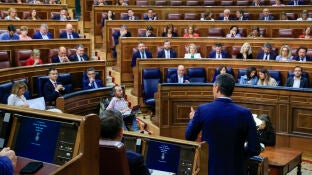 El presidente del Gobierno, Pedro S&aacute;nchez, durante la sesi&oacute;n de control en el Congreso de los Diputados