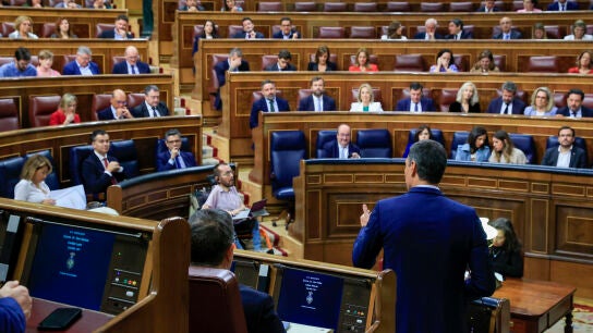 El presidente del Gobierno, Pedro S&aacute;nchez, durante la sesi&oacute;n de control en el Congreso de los Diputados