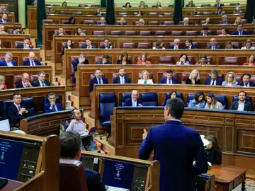 El presidente del Gobierno, Pedro Sánchez, durante la sesión de control en el Congreso de los Diputados El presidente del Gobierno, Pedro Sánchez, durante la sesión de control en el Congreso de los Diputados