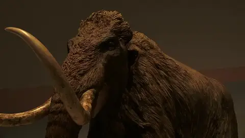 Caixaforum muestra un esqueleto de un mamut siberiano de 40.000 años Caixaforum muestra un esqueleto de un mamut siberiano de 40.000 años