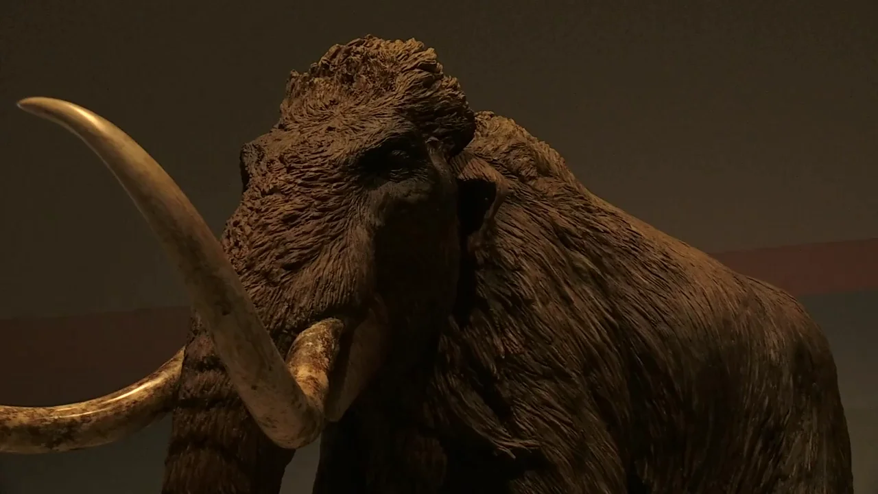 Caixaforum muestra un esqueleto de un mamut siberiano de 40.000 a&ntilde;os