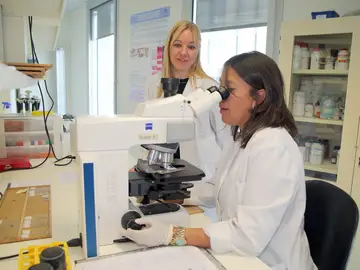 Varias trabajadoras en el laboratorio del Grupo de Ingenieria Tisular de la UGR Varias trabajadoras en el laboratorio del Grupo de Ingenieria Tisular de la UGR
