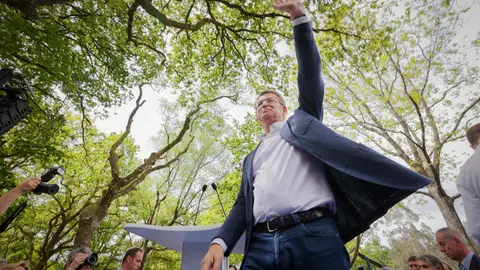El presidente del PP, Alberto Núñez Feijóo El presidente del PP, Alberto Núñez Feijóo