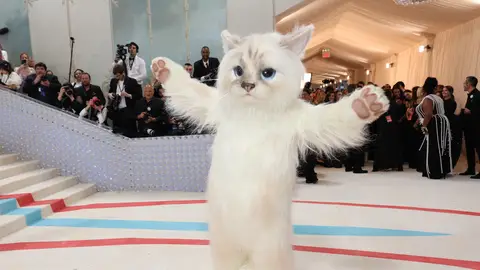 Jared Leto como Choupette, el gato del diseñador Karl Lagerfeld, en la Met Gala 2023 Jared Leto como Choupette, el gato del diseñador Karl Lagerfeld, en la Met Gala 2023